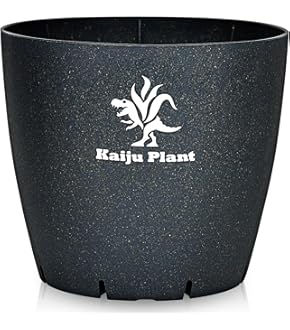 Amazon | Kaiju Plant 怪獣ブロック 珪藻土 吸水する 鉢皿3号